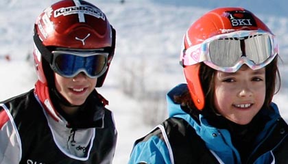 Salomon ski